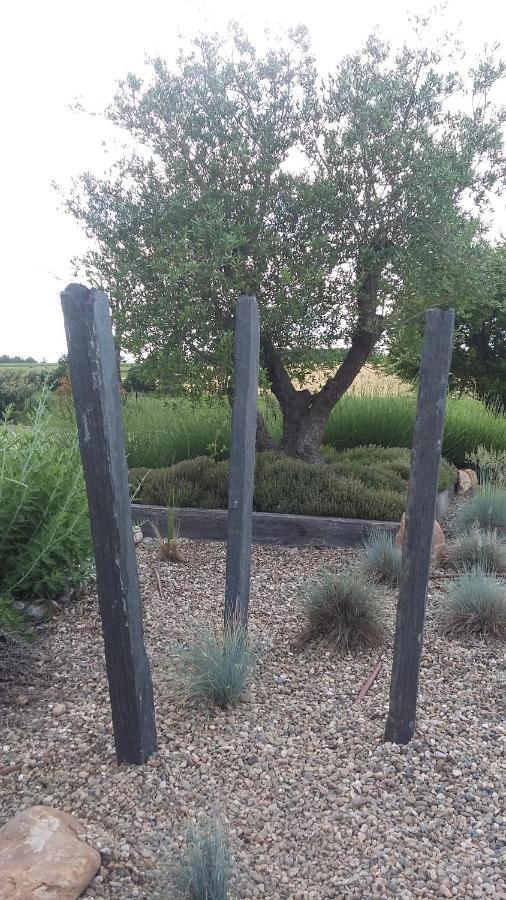 Domaine 3 Soleils Panzió Labastide-de-Lévis Kültér fotó